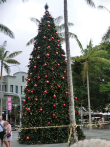 Weihnachten in Cairns